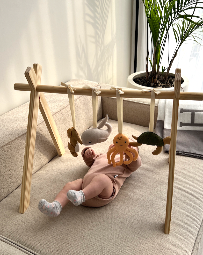 BABY GYM TOY SET