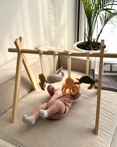 BABY GYM TOY SET