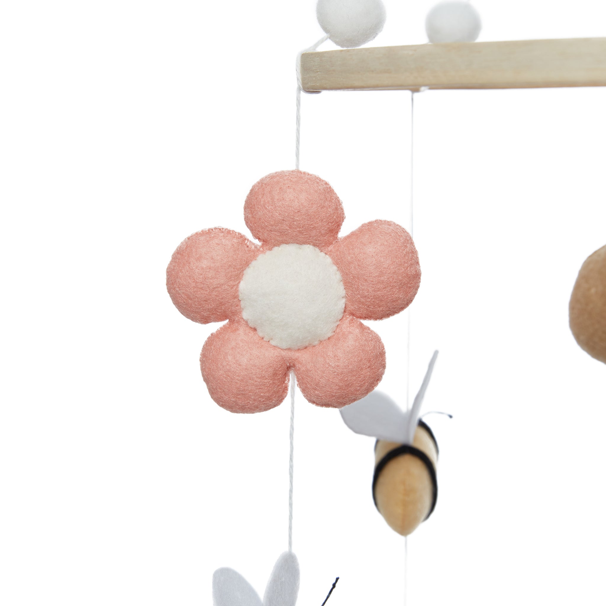 Daisy Dreams
