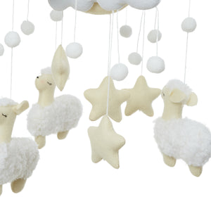 Counting Sheep