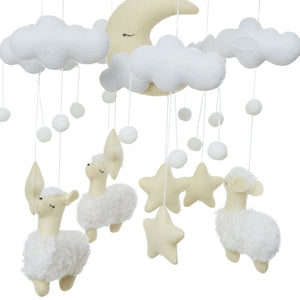 Counting Sheep