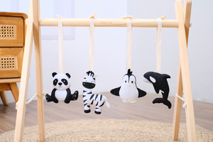 Activity Gym Toy Set - Monochrome