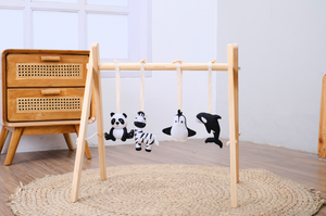 Activity Gym Toy Set - Monochrome
