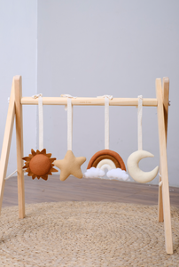 Activity Gym Toy Set - Sky