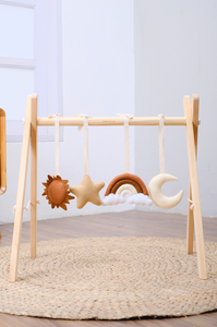 Activity Gym Toy Set - Sky