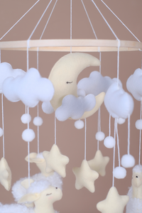 Counting Sheep