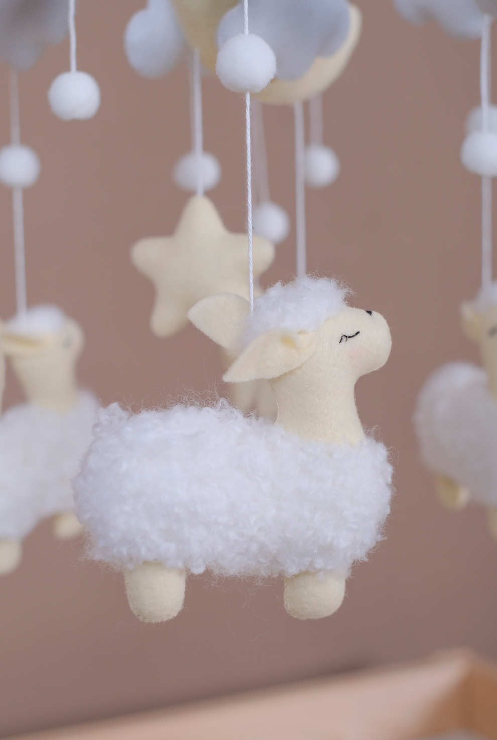 Counting Sheep