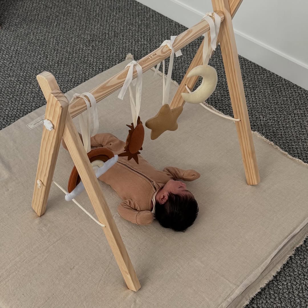 Activity Gym Toy Set - Sky