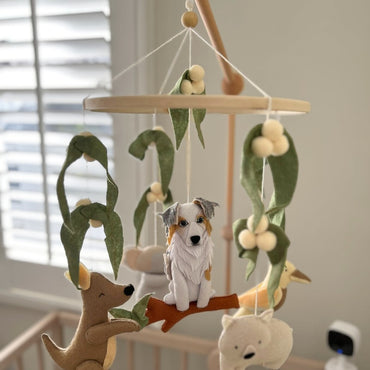 Custom Pets Design