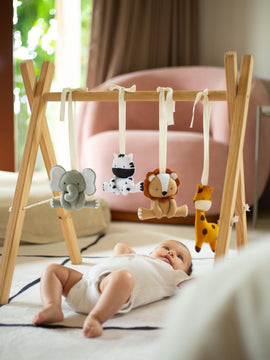 Activity Gym Toy Set - Safari