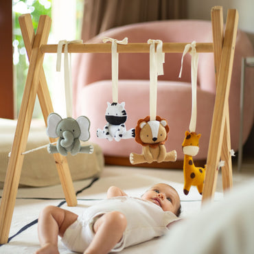 BUNDLE Safari - Gym Toy Set & Mobile